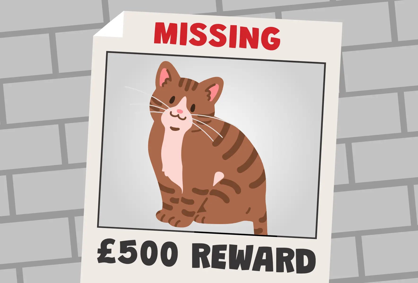 Competition: Help us Find Larry the Cat Inside our Catalogue and Win £500 Worth of Books