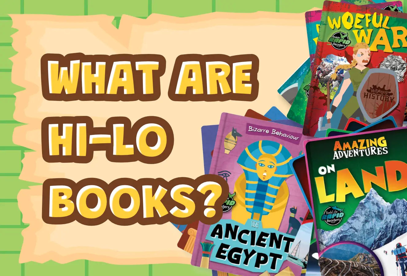 What are Hi-Lo books?