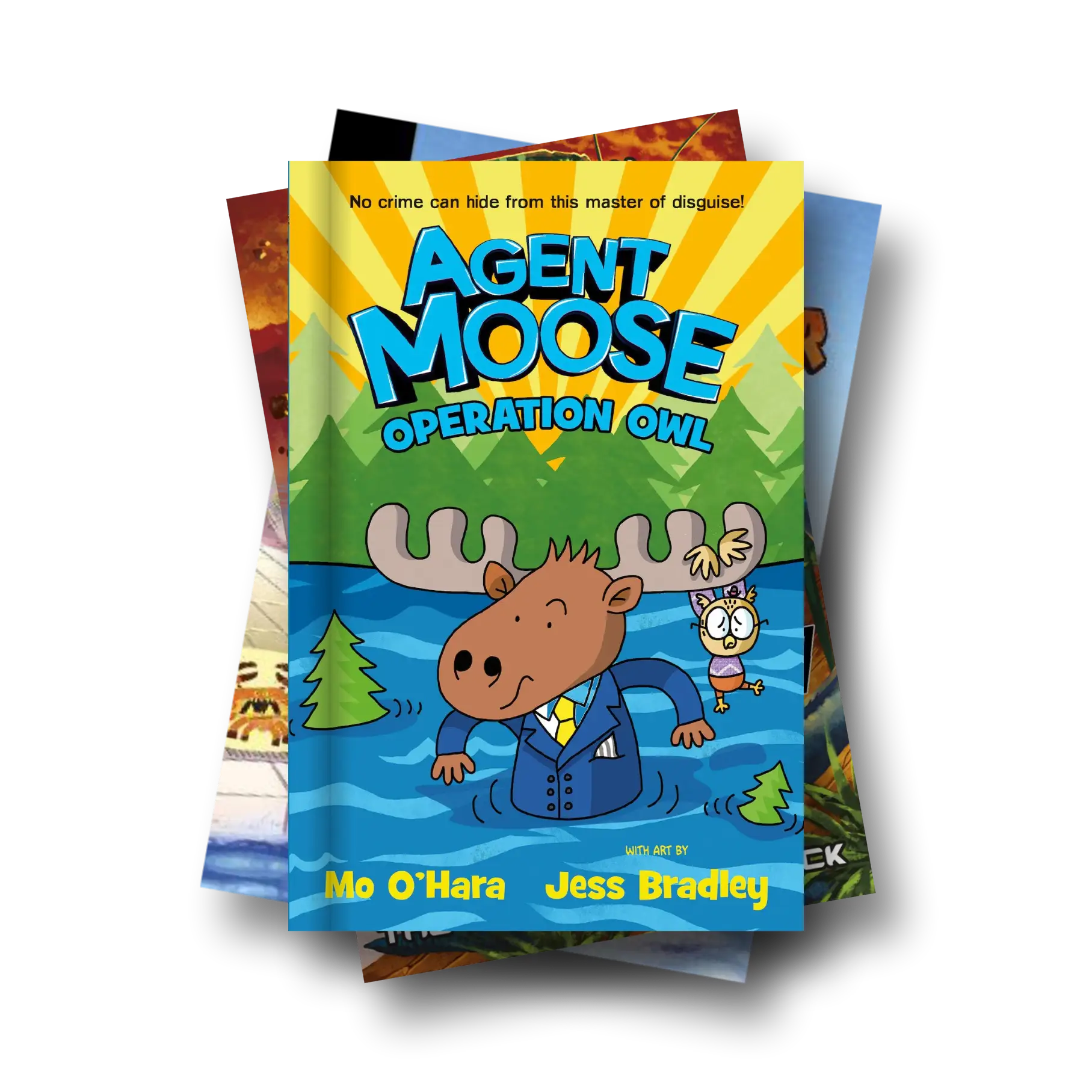 Level 13: Grey Book Bands