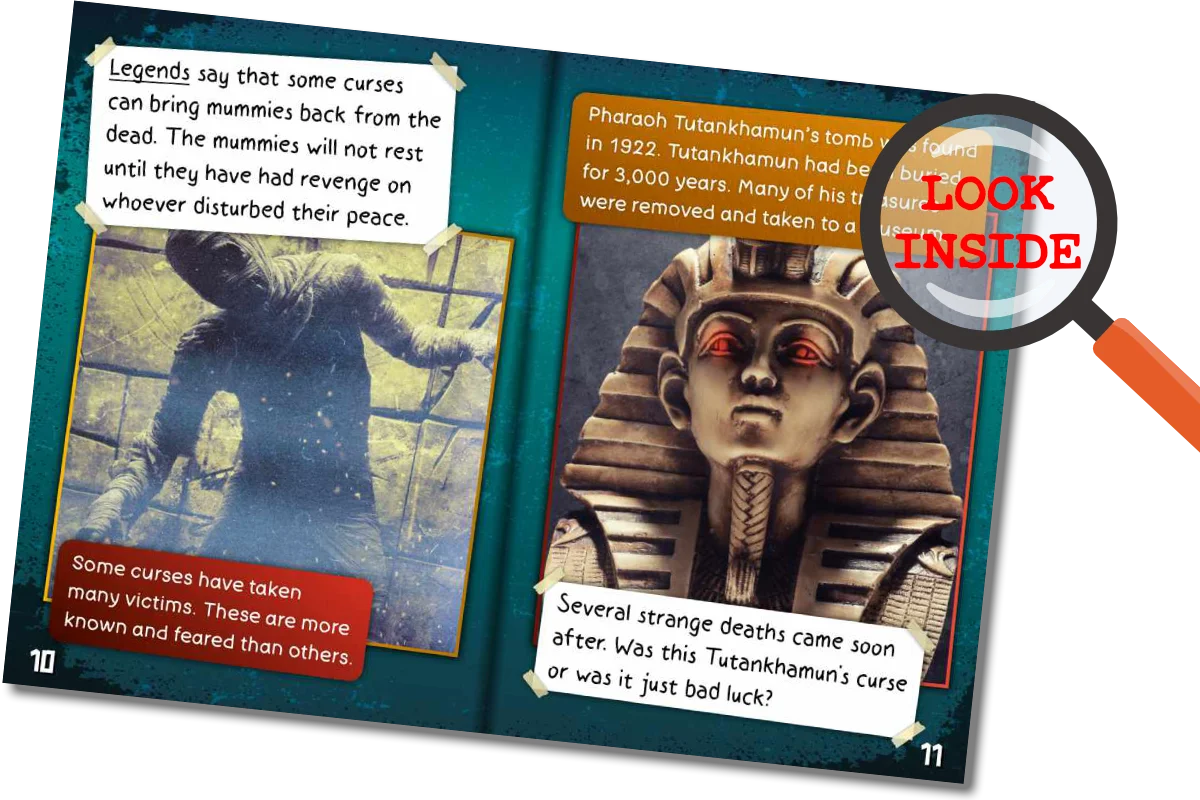 A Survivors Guide To... (Hi- Lo) Reading Age 6-7, Interest Age 9-12