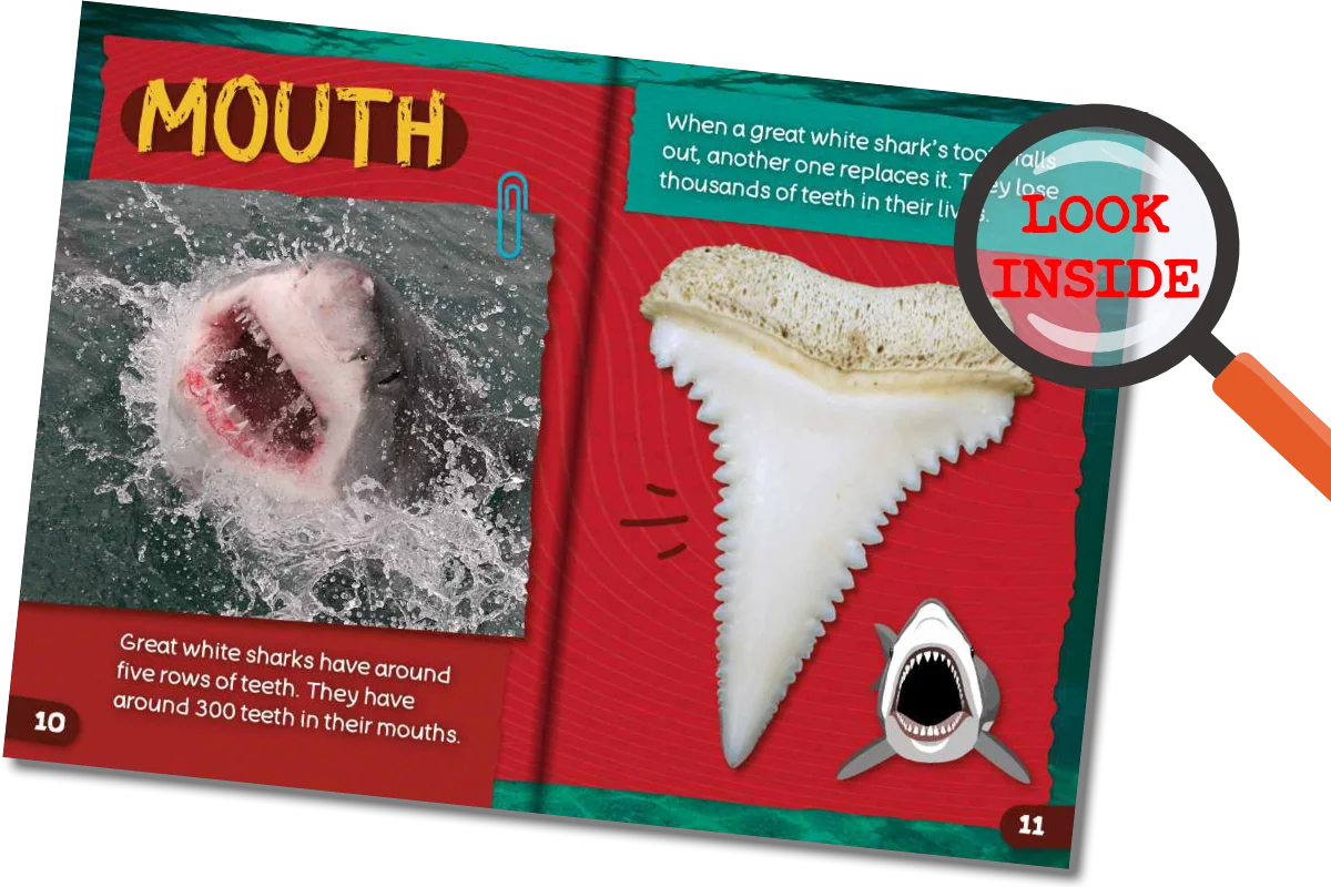 Shark Files (Hi-Lo) Reading Age 5-6, Interest Age 9-12