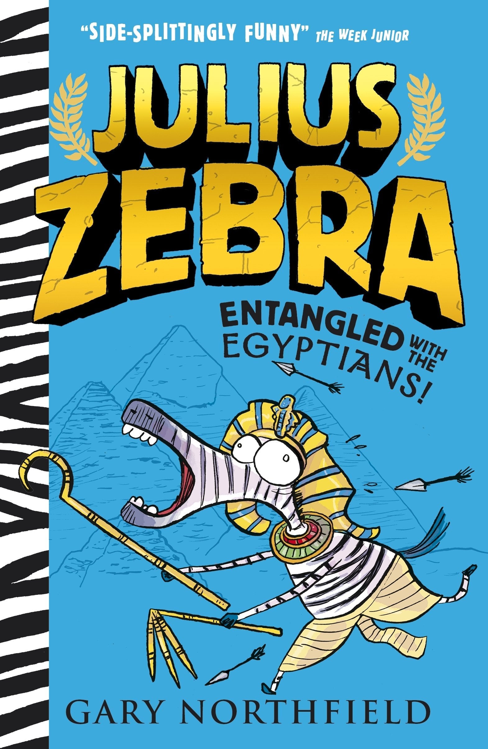 Cover of a Brown, Grey & Dark Blue Book Bands book