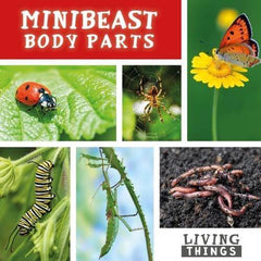 Minibeasts