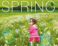 Discovering The Weather and Seasons