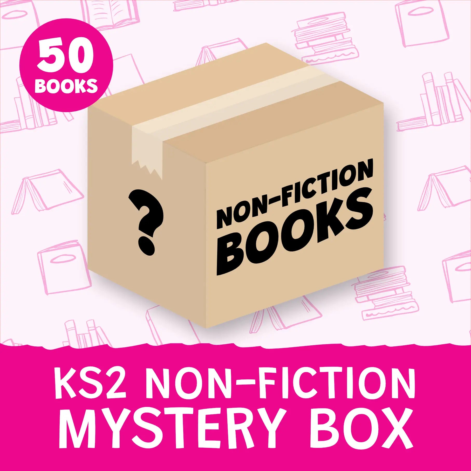 Non-Fiction Mystery Box KS2