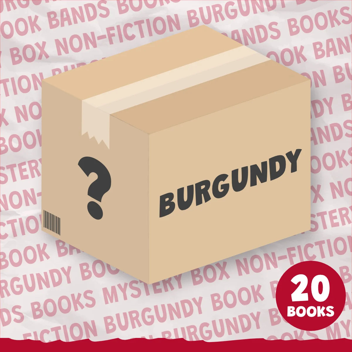 Non-Fiction Book Band Mystery Boxes