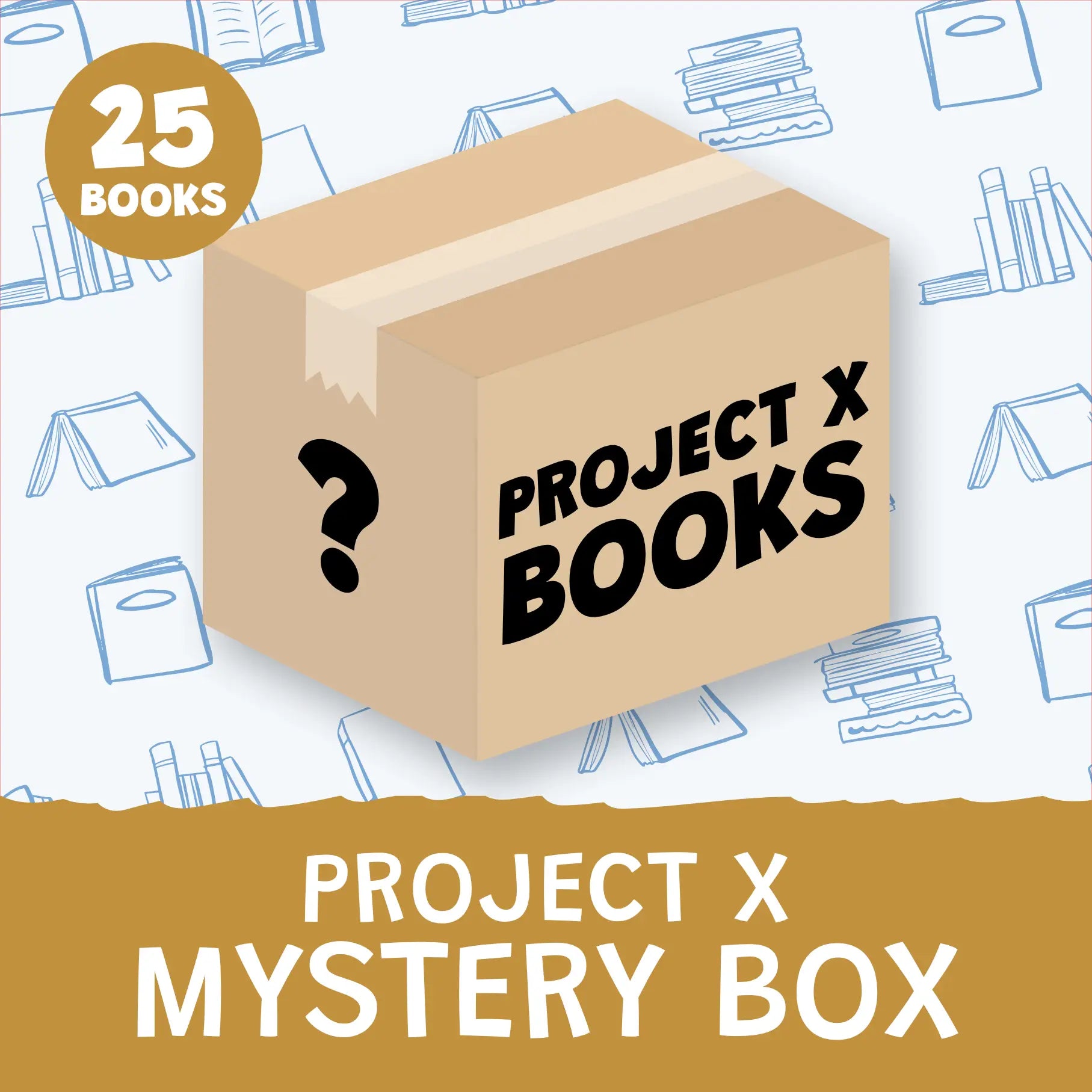Mixed Phonics Mystery Box
