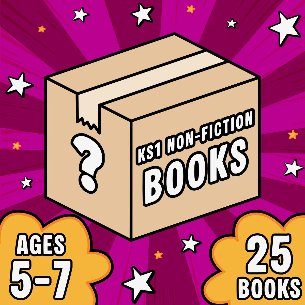 Non-Fiction Saver Mystery Box KS1