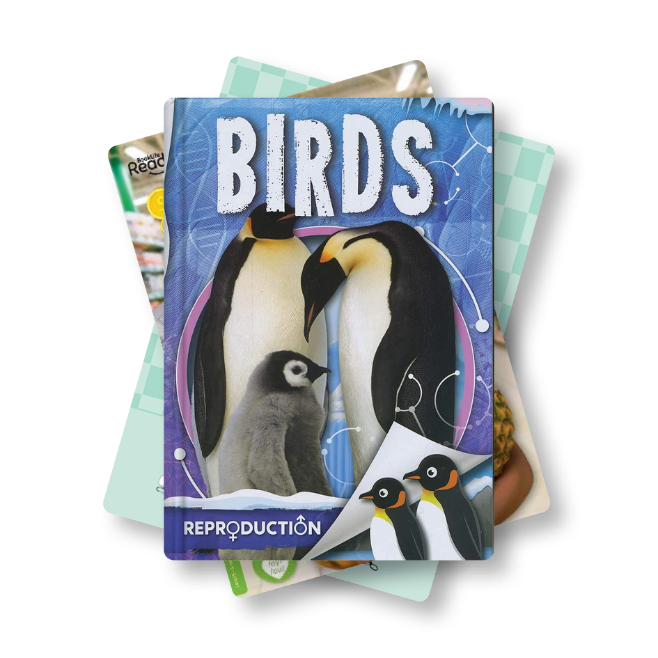 Level 5: Green Non-Fiction Book Bands