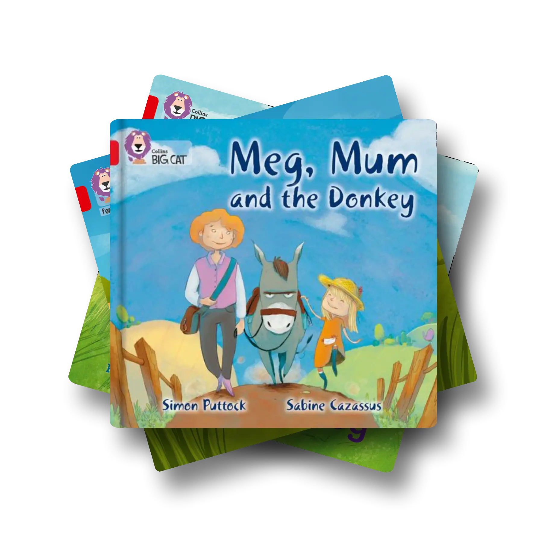 Level 2: Red Book Bands