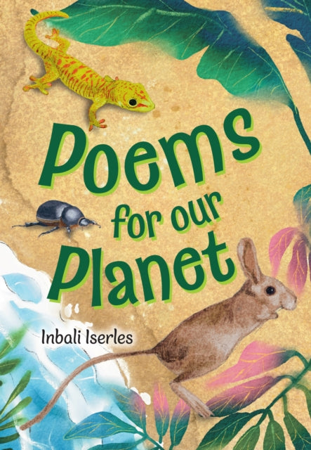 Big Cat for Little Wandle Fluency: Levels 11 to 15