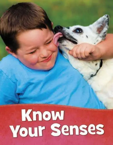 My Senses