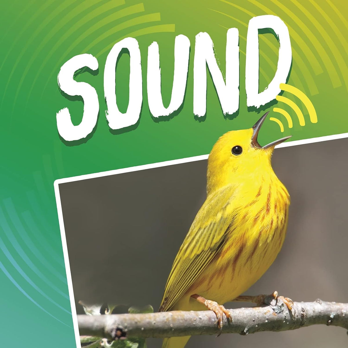 Light and Sound