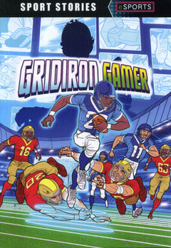 Level 15: Burgundy Book Bands