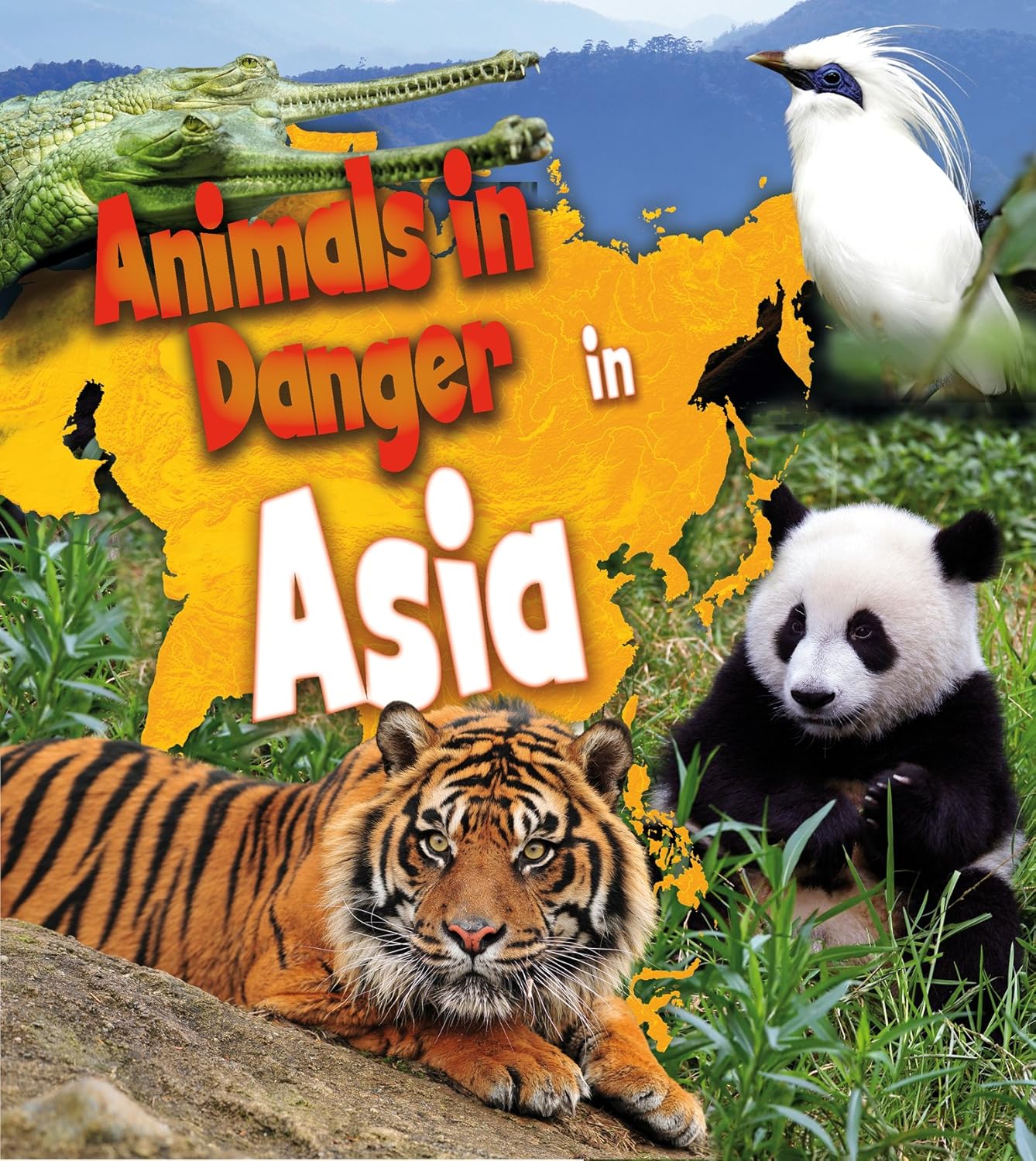 Cover of a Level 7-11: Non-Fiction Book Bands book