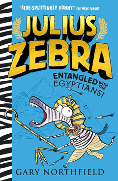 Cover of a Level 14: Dark Blue Book Bands book