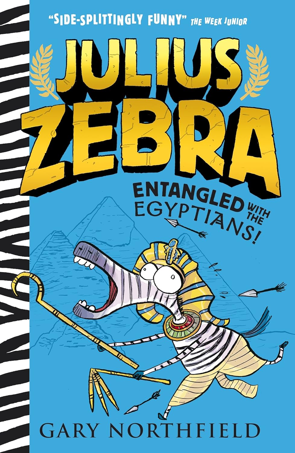 Cover of a Level 14: Dark Blue Book Bands book
