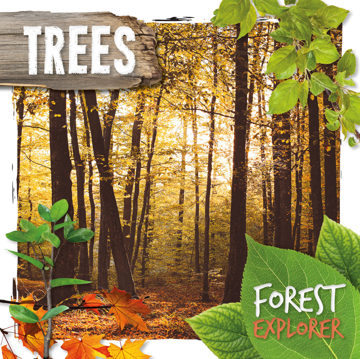 Learning About Trees