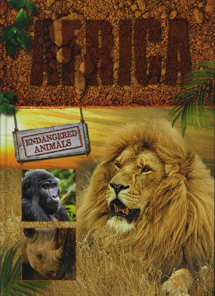 Cover of a Level 15: Burgundy Non-Fiction Book Bands book