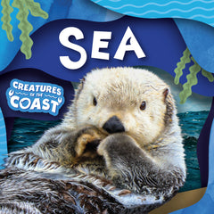 Exploring The Seaside