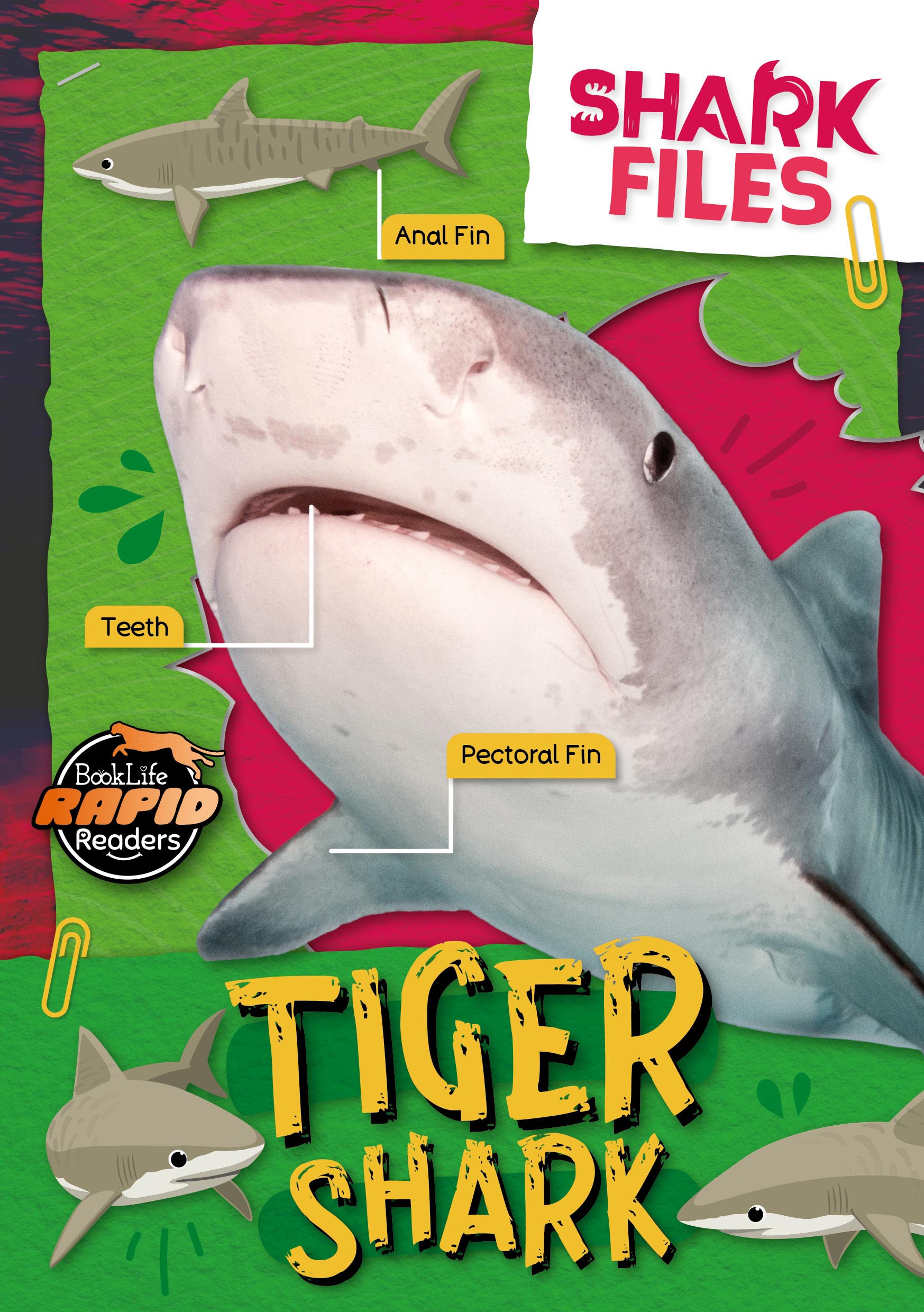 Shark Files (Hi-Lo) Reading Age 5-6, Interest Age 9-12