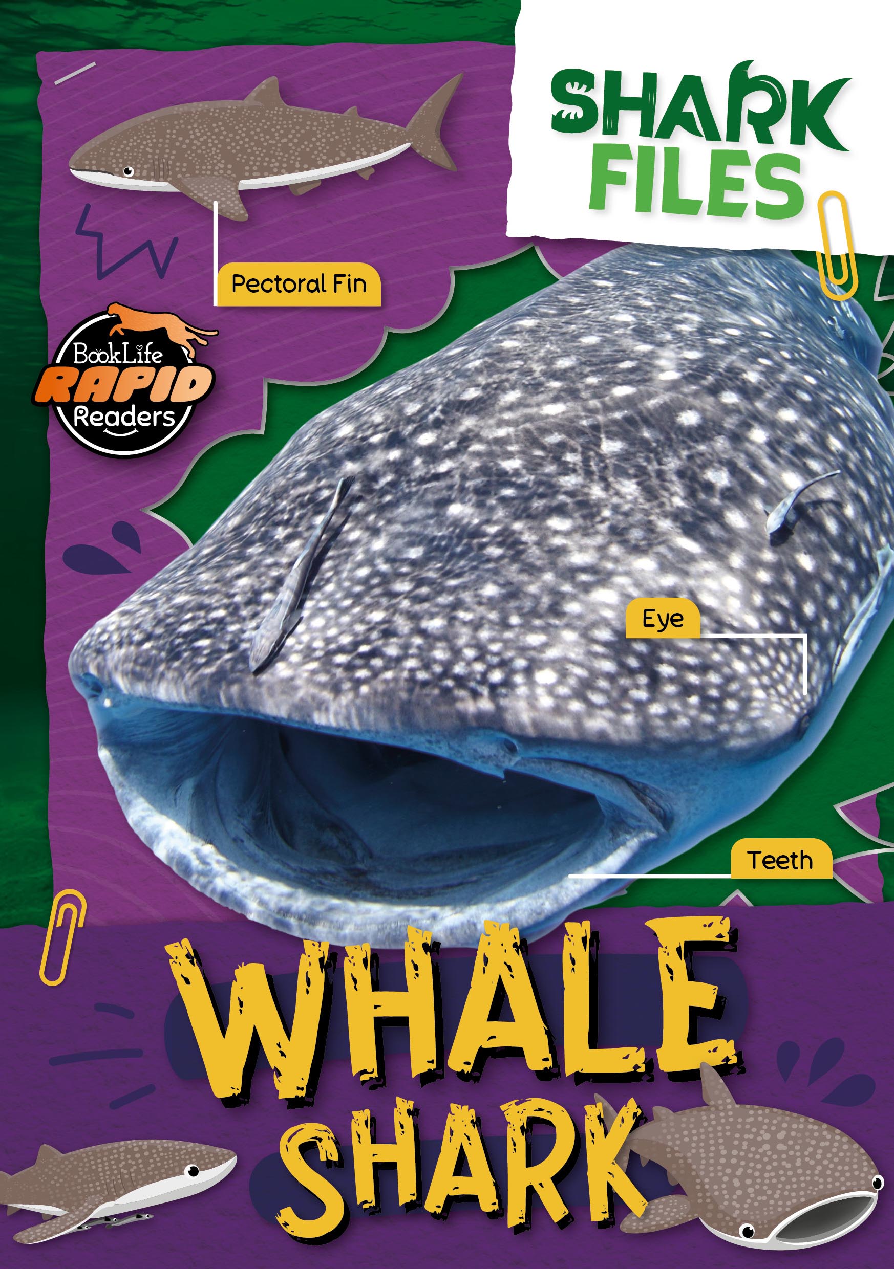 Shark Files (Hi-Lo) Reading Age 5-6, Interest Age 9-12