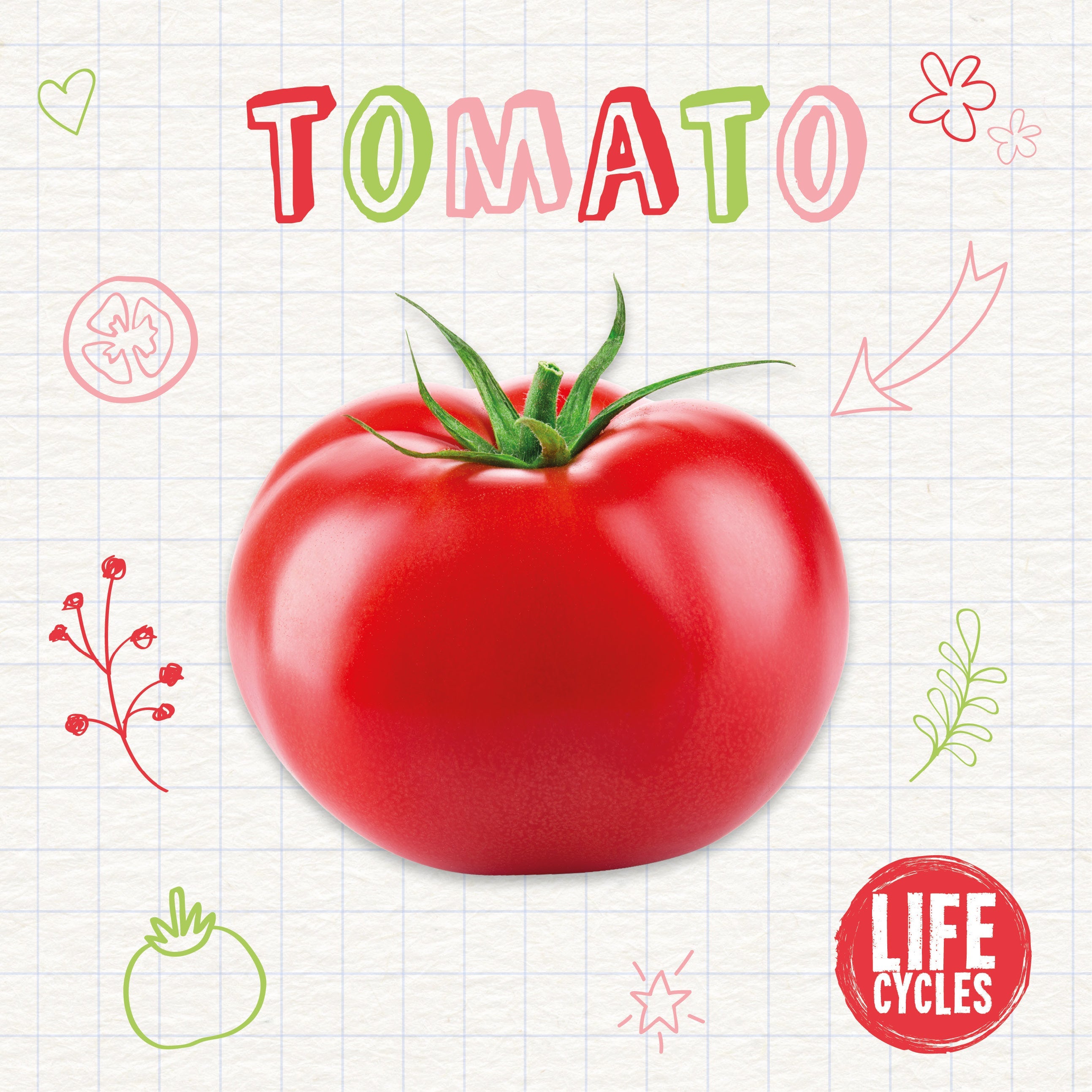 Tomato book cover