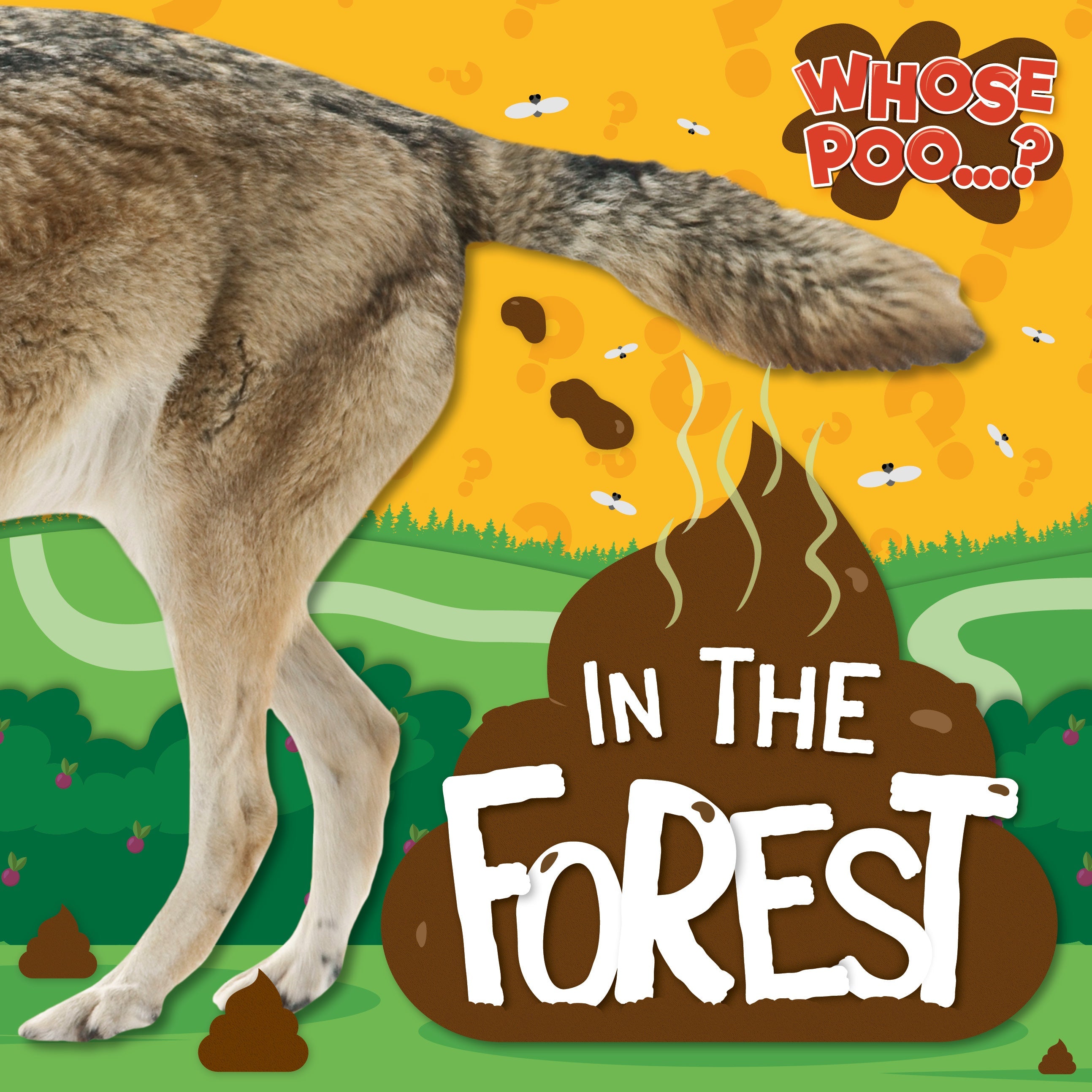 In the Forest book cover