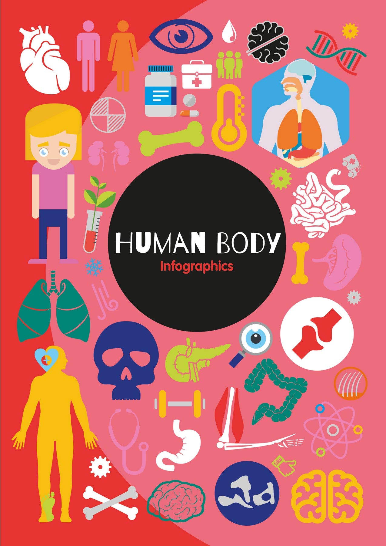 The Human Body