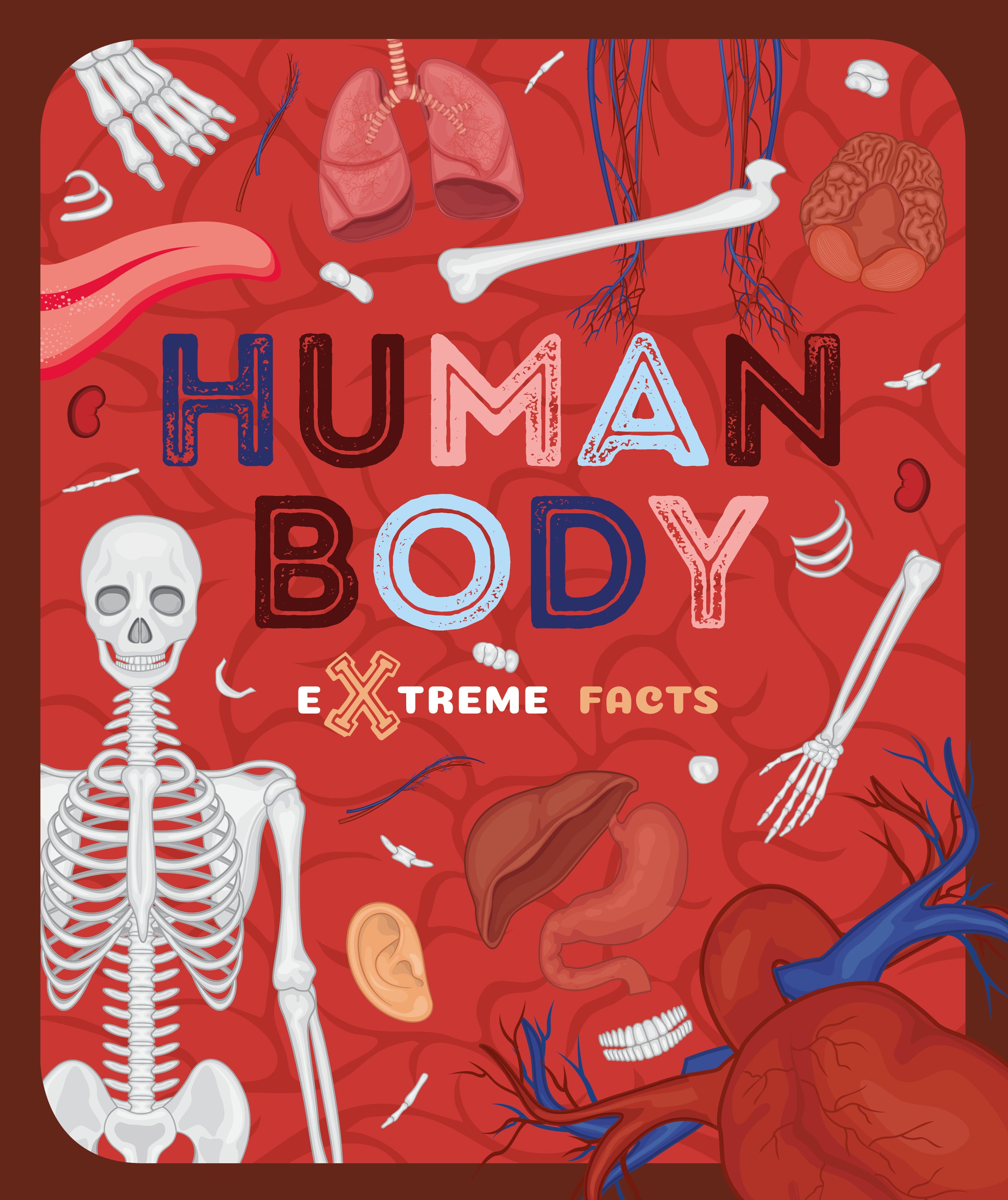 The Human Body