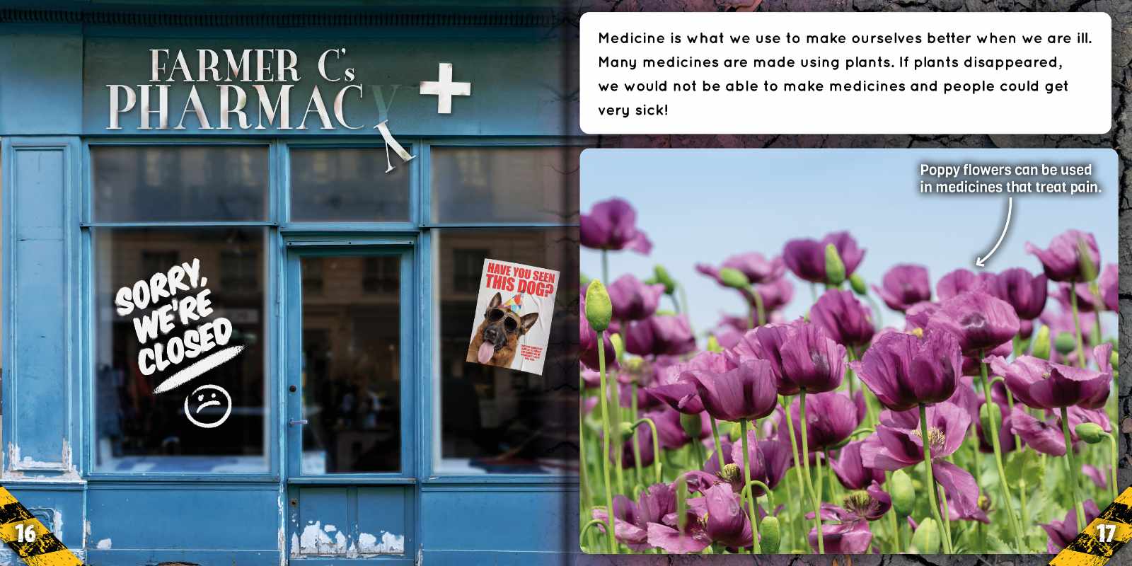 Plants, A World Without