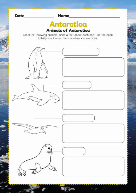 Level 9 (Gold) - BookLife Non-Fiction Readers, Antarctica - Free Resource