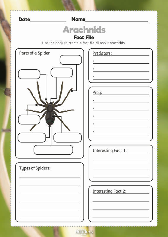 Level 10 (White) - BookLife Non-Fiction Readers, Arachnids - Free Resource