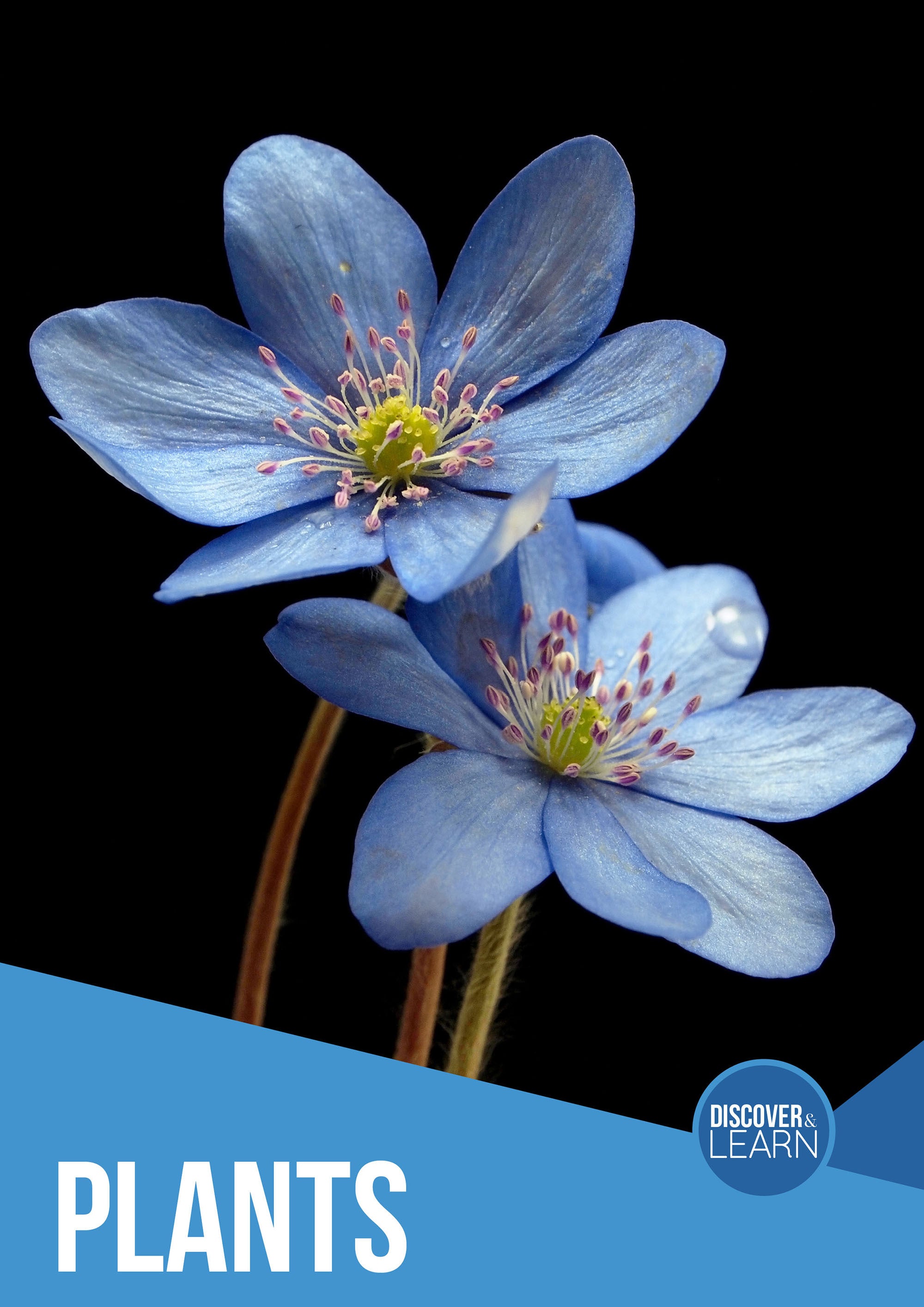 Plants - Free PDF eBook