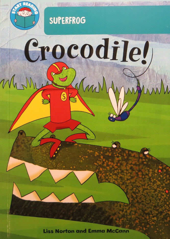 Lower Ability <br> Y3 <br>(30 Books) by BookLife