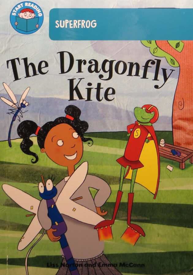 Lower Ability <br> Y3 <br>(30 Books) by BookLife