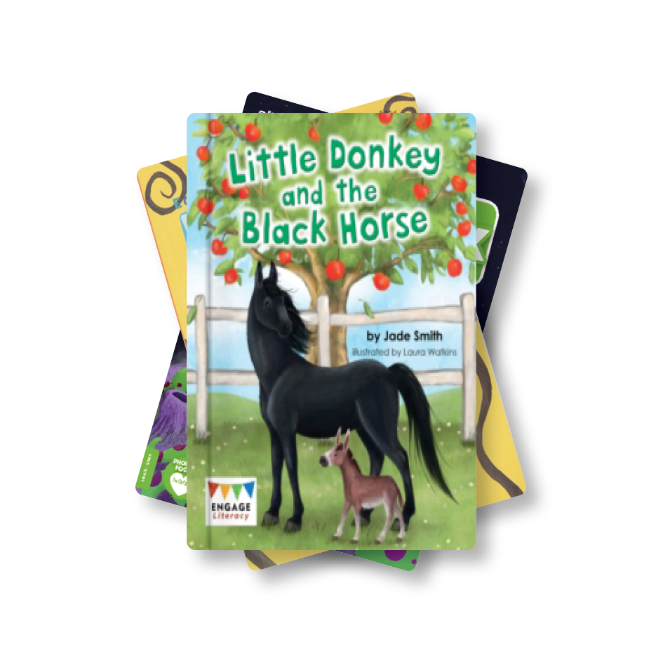 Level 5-6: Green and Orange Book Bands