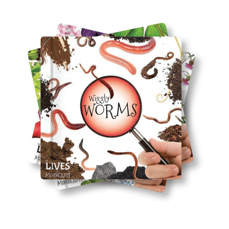 Minibeasts <br> KS1 <br>(16 Books) by BookLife