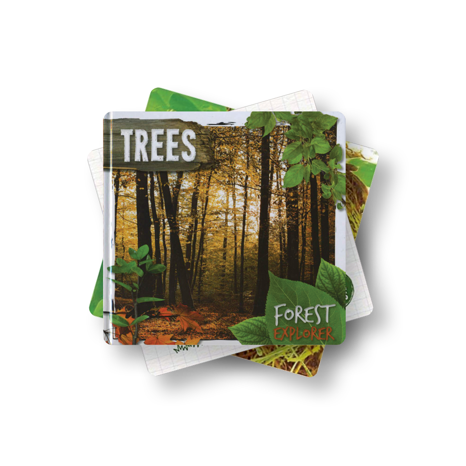 KS1 Learning About Trees by BookLife