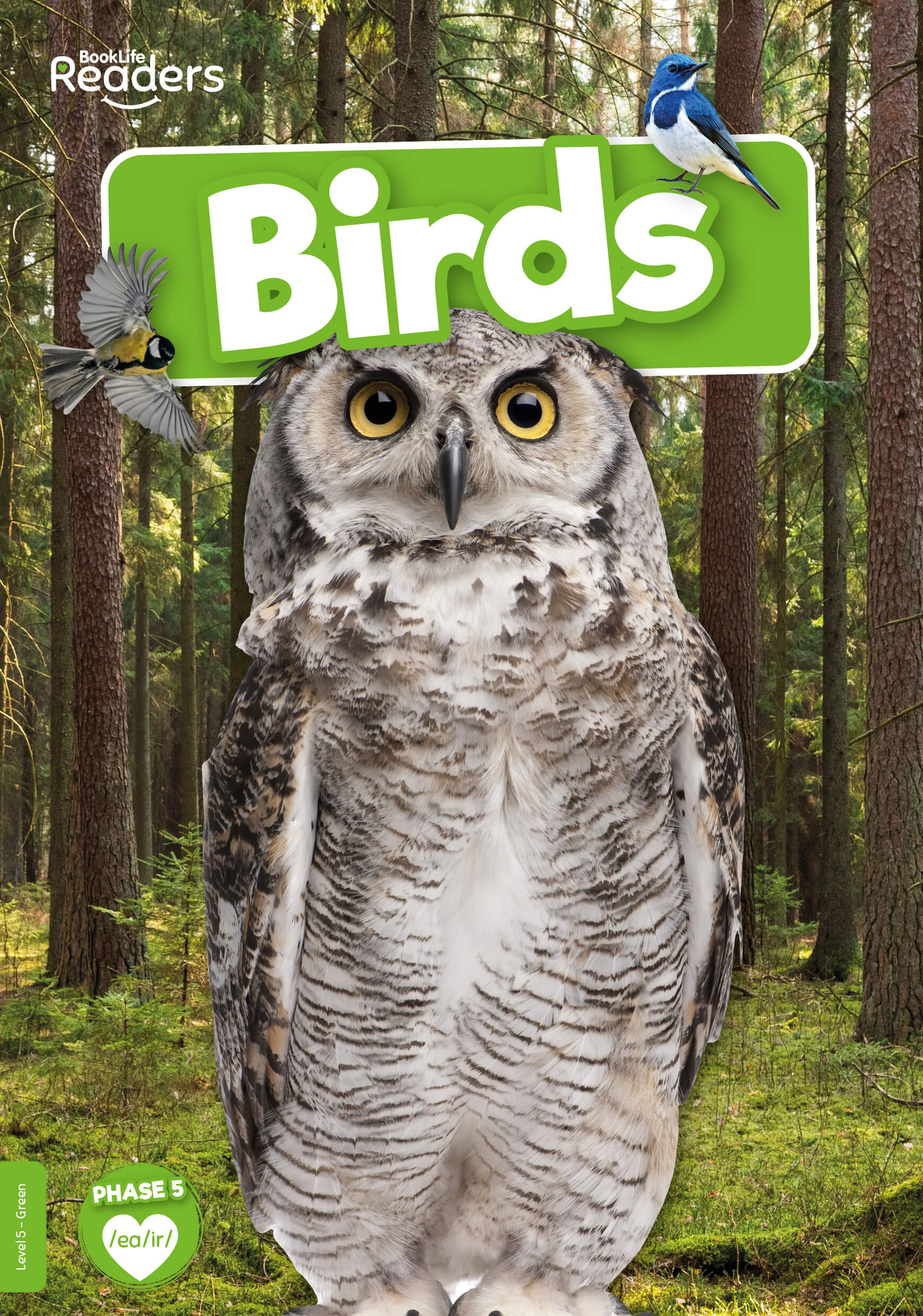 Level 0-11: Lilac to Lime Non-Fiction Book Bands