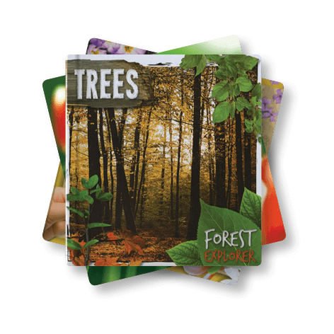 Living Things <br> EY <br>(10 Books) by BookLife