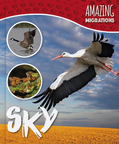 Level 8 Purple Non-Fiction Book Bands by BookLife