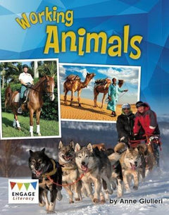 Level 9 Gold Non-Fiction Book Bands by BookLife