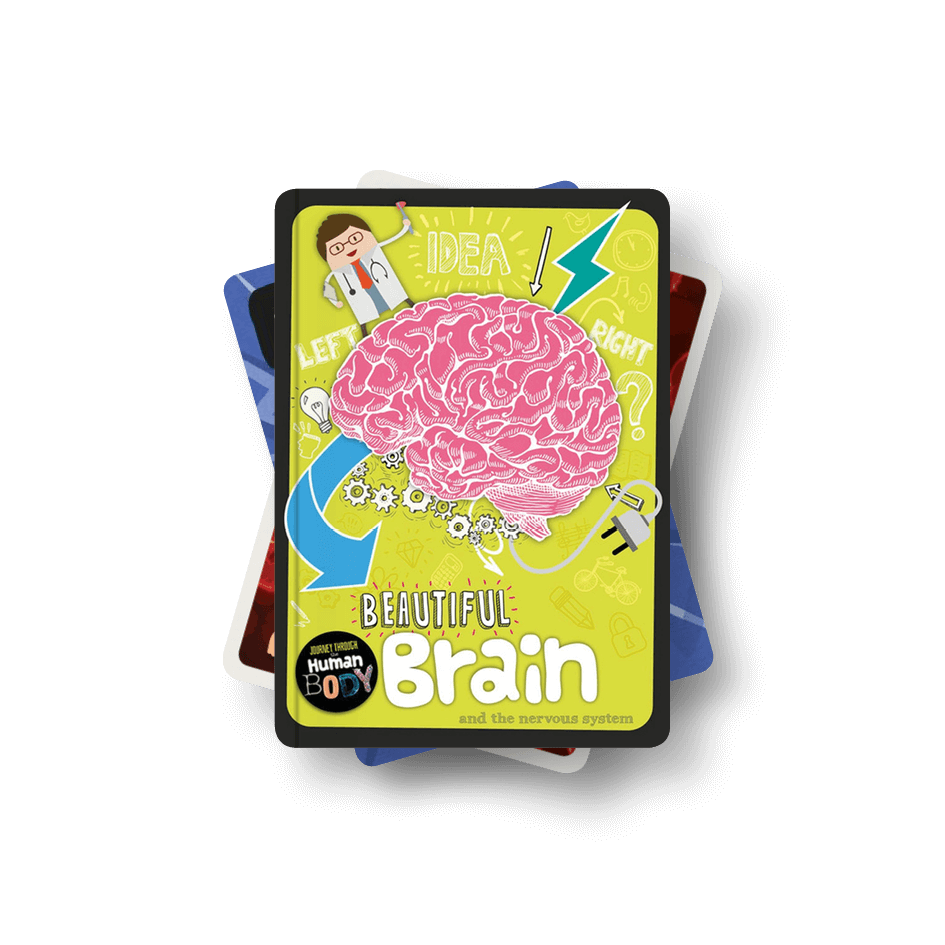 Level 13 Grey Non-Fiction Book Bands by BookLife