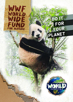 Level 15: Burgundy Non-Fiction Book Bands