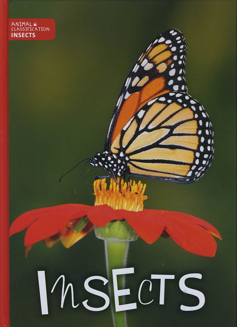 Level 12-16: Brown to Black Non-Fiction Book Bands