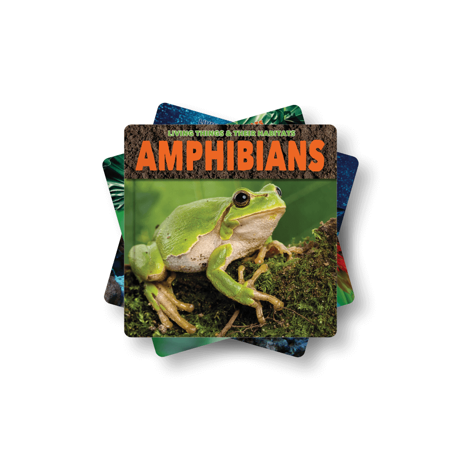 Living Things And Their Habitats Collection by BookLife