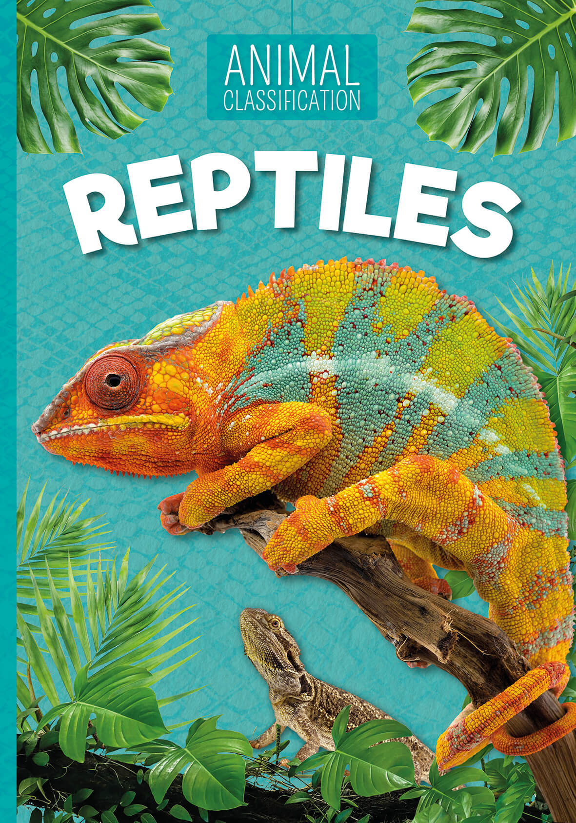 Animal Classifciation Collection by BookLife