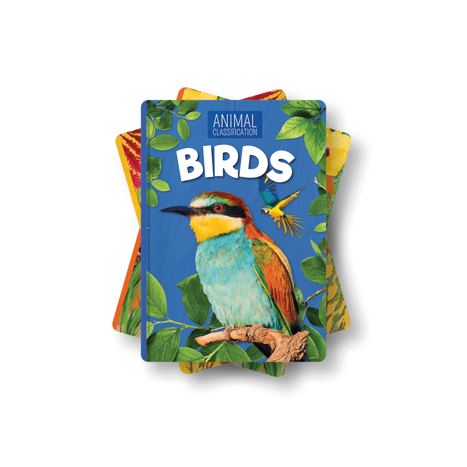 Animal Classifciation Collection by BookLife