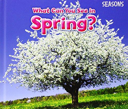 Book Band Non-Fiction (90 Books) by BookLife